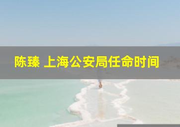 陈臻 上海公安局任命时间